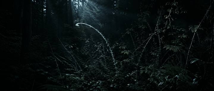 Shot 20, The Swaying Cane