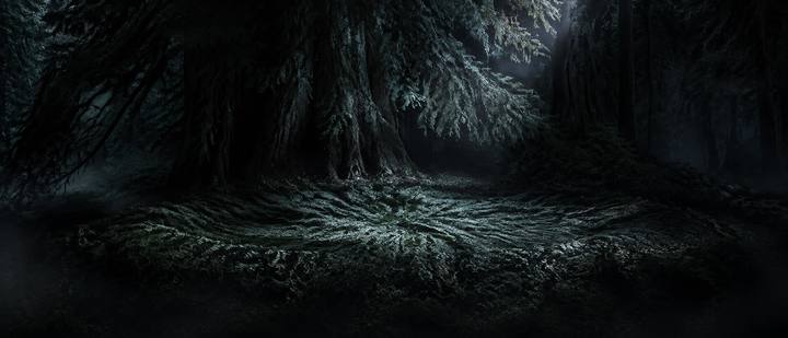 Shot 21, The Bed Beneath the Cedar