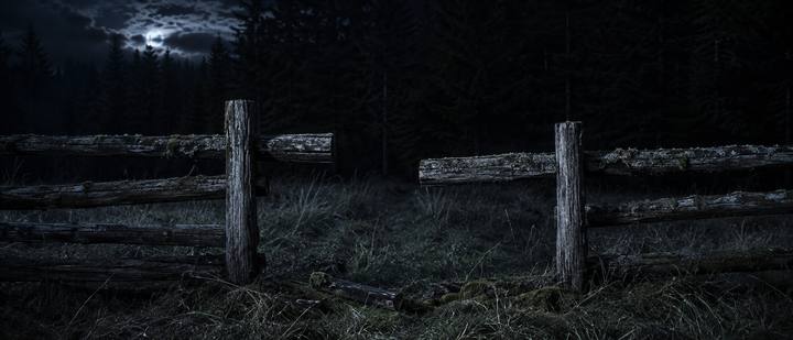 Shot 25, The Fence Rail