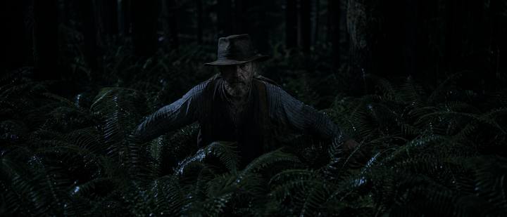 Shot 30, Through the Sword Ferns